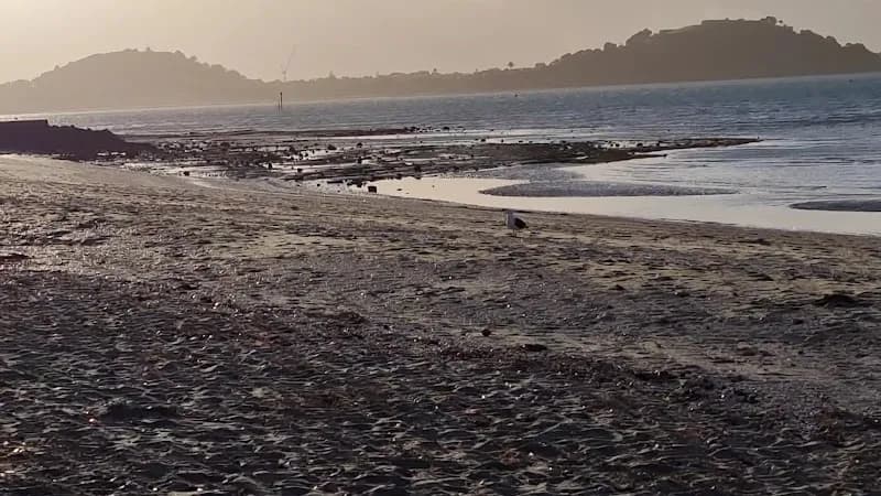 View of Mission bay Auckland in Auckland, AKL