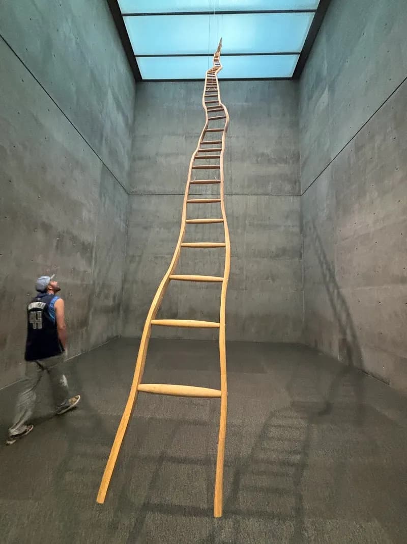 View of Modern Art Museum of Fort Worth in Fort Worth, TX