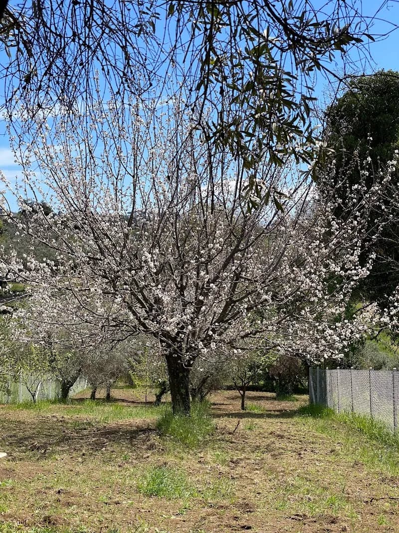 Monte Due Torri wildlife park in Genzano di Roma, Lazio