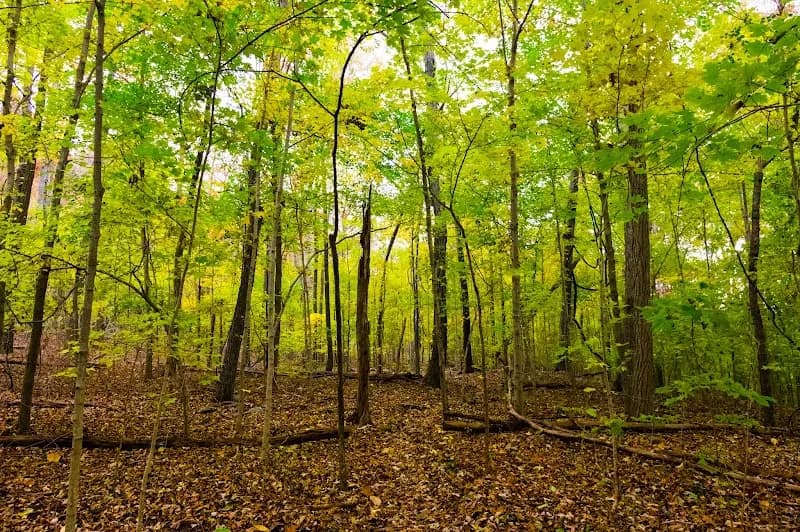 Monte Sano Nature Preserve (Bankhead Trailhead) nature preserve in Huntsville, AL