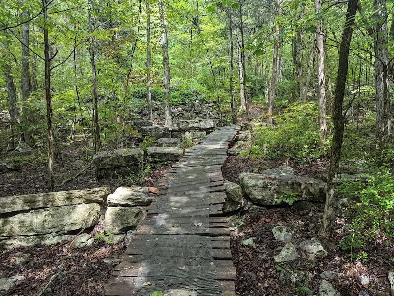 View of Monte Sano Nature Preserve (Bankhead Trailhead) in Huntsville, AL