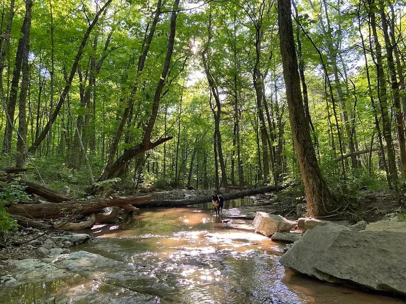 View of Monte Sano Nature Preserve (Bankhead Trailhead) in Huntsville, AL