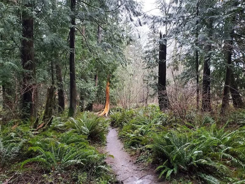 View of Mount Talbert Nature Park in Happy Valley, OR