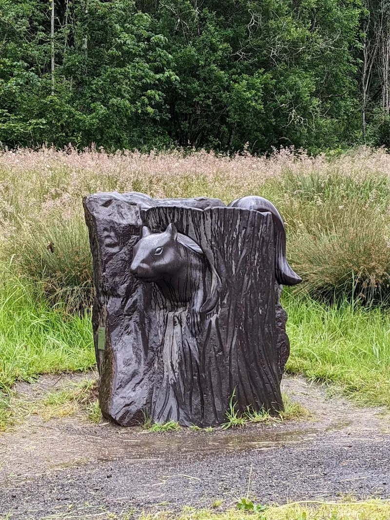 View of Mount Talbert Nature Park in Happy Valley, OR