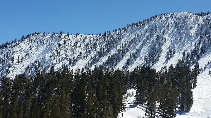View of Mt. Rose - Ski Tahoe in Reno, NV