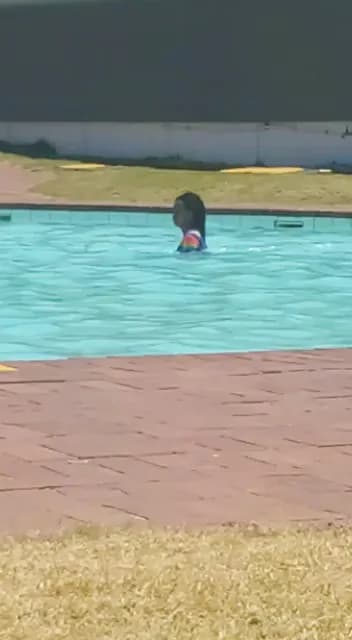 View of Muizenberg Swimming Pool in Muizenberg, WC