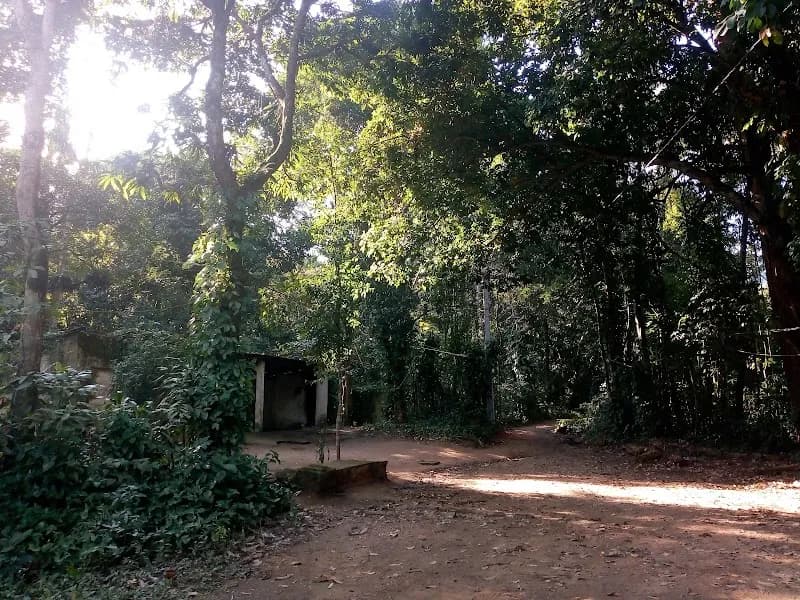 Municipal Park of Taquara tourist attraction in Duque de Caxias, RJ