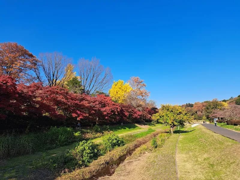 Musashino Park park in Musashino, Tokyo