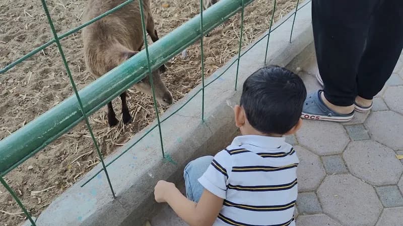 View of Muscat Zoo in Muscat, MUS
