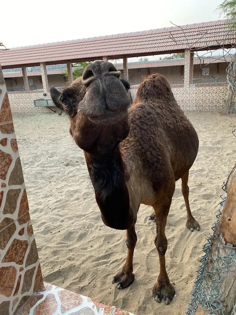 View of Muscat Zoo in Muscat, MUS