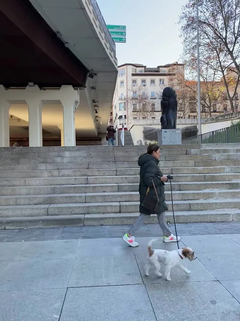 View of Museo de Escultura al Aire Libre de Alcalá de Henares in Alcalá de Henares, Madrid