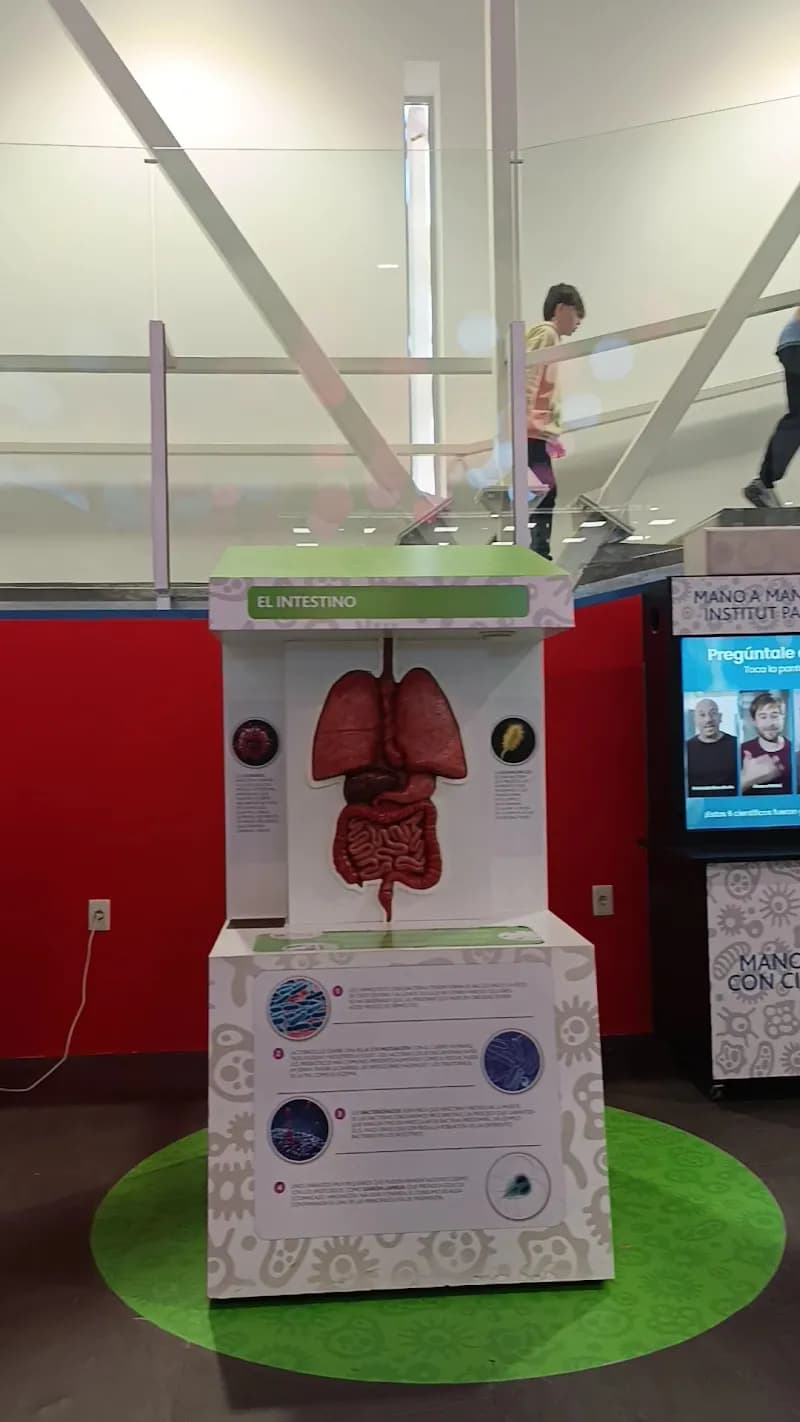 View of Museo de los Niños (Espacio Lúdico) in Montevideo, MO