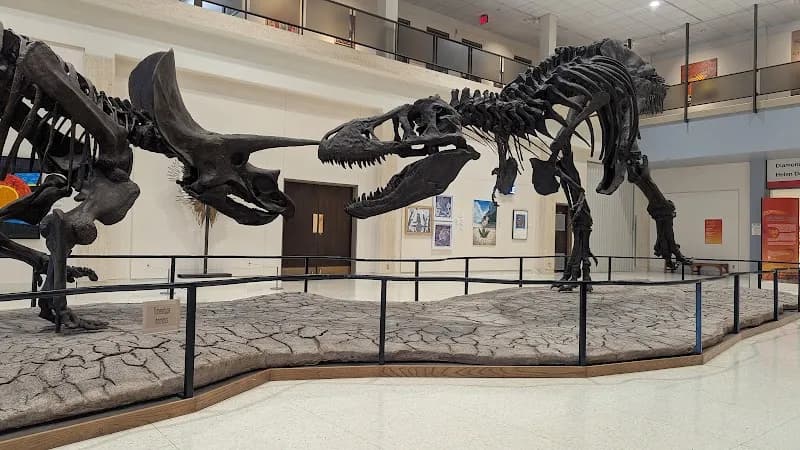 View of Museum at Texas Tech University in Lubbock, TX