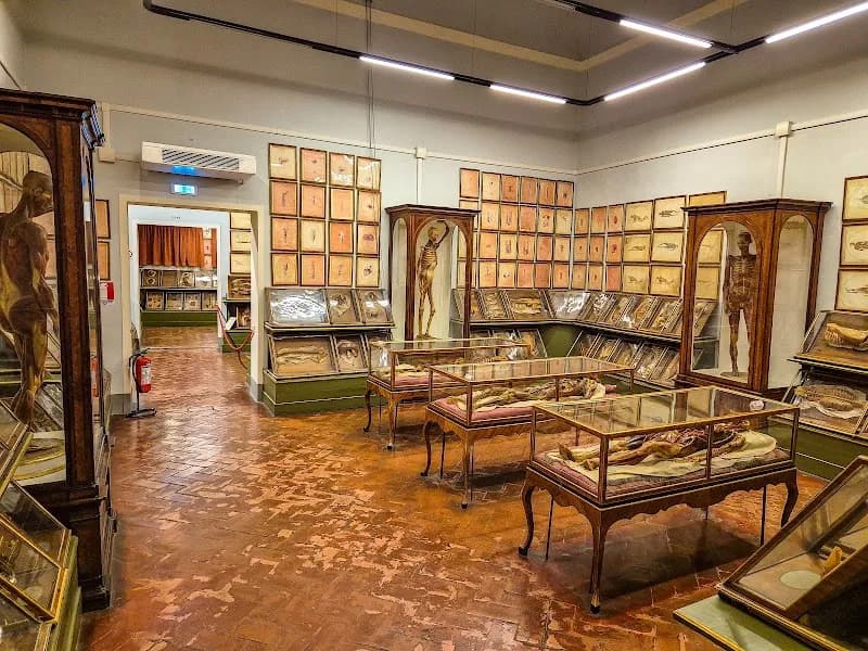 Museum of Natural History, La Specola tourist attraction in Florence, TC