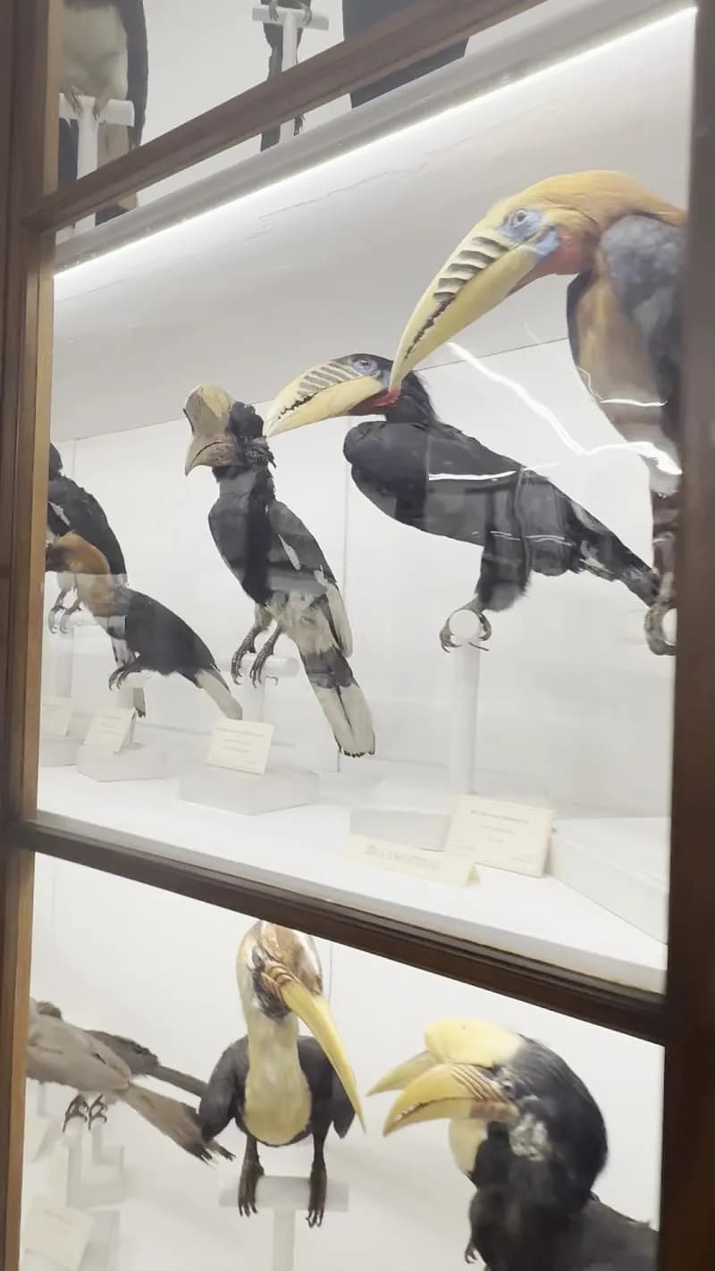 View of Museum of Natural History, La Specola in Florence, TC