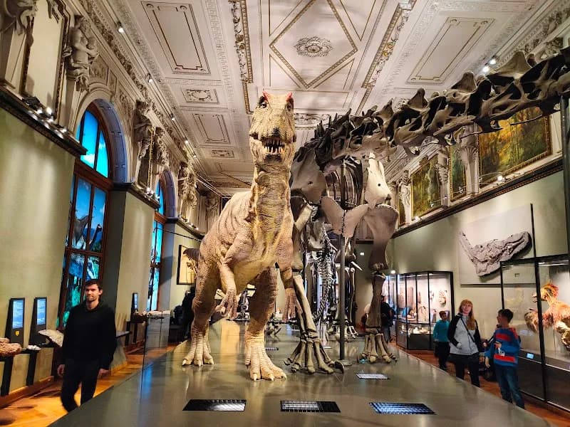 Museum of Natural History Vienna tourist attraction in Vienna, W