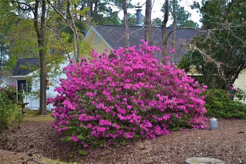View of Myrtle Beach Golf & Yacht Club Assn., Inc. in Myrtle Beach, SC