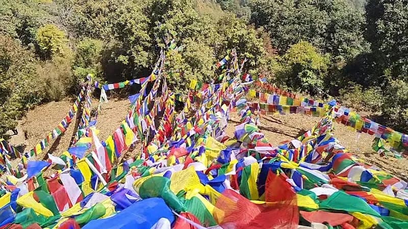 View of Nagarjun Forest Reserve in Thimi, Bagmati