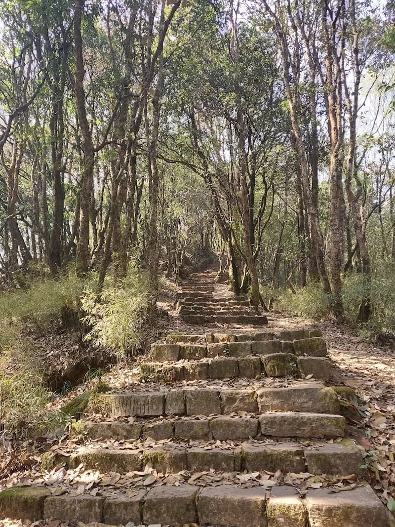 View of Nagarjun Forest Reserve in Thimi, Bagmati