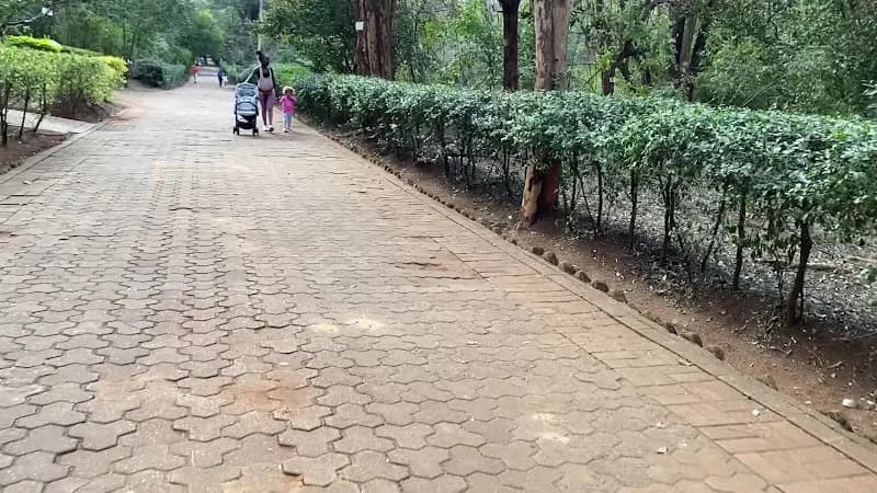 View of Nairobi Arboretum (Westlands Gate) in Westlands, Nairobi