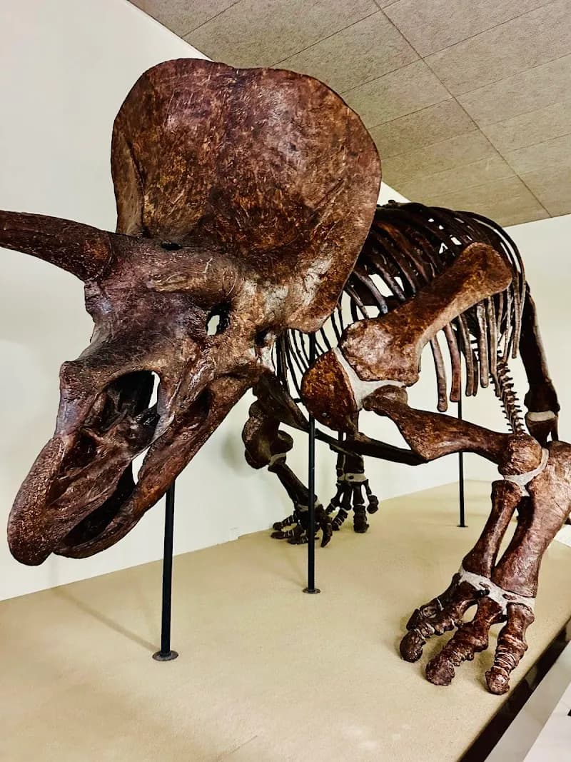 National Museum of Natural History Goulandris tourist attraction in Kifisia, AT