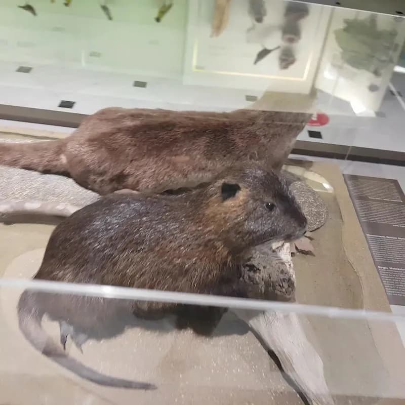 View of National Museum of Natural History Goulandris in Kifisia, AT