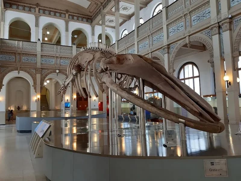 National Museum of Natural History museum in Santiago, RM