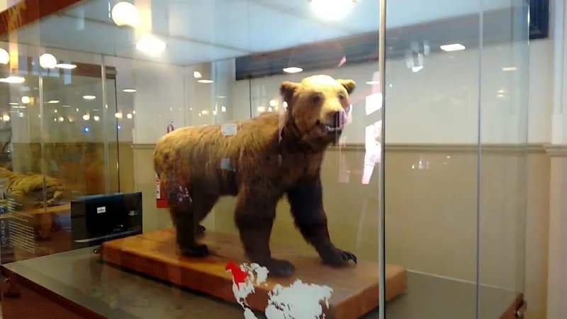 View of National Museum of Natural History in Santiago, RM