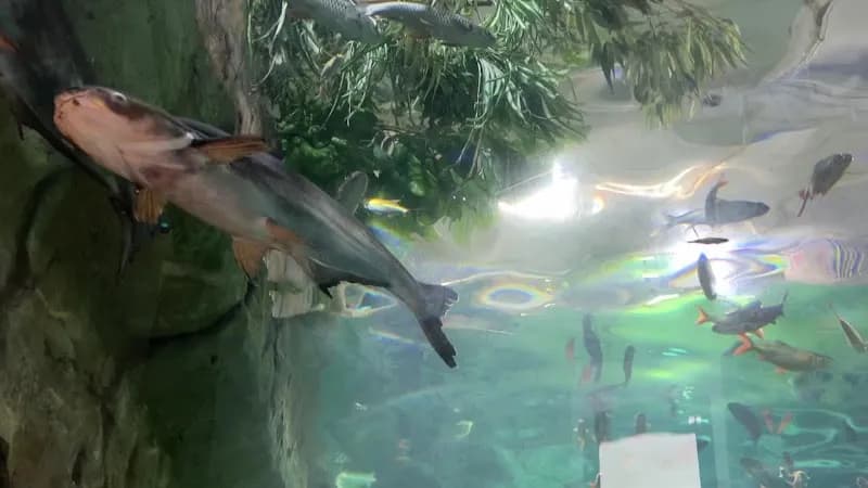 View of National Science Centre in Bangsar, KL
