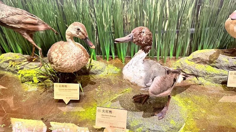 View of National Taiwan Museum in Taipei, TPE