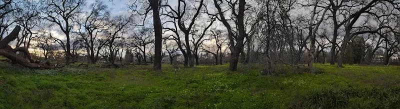 View of Natomas Park in Natomas, CA
