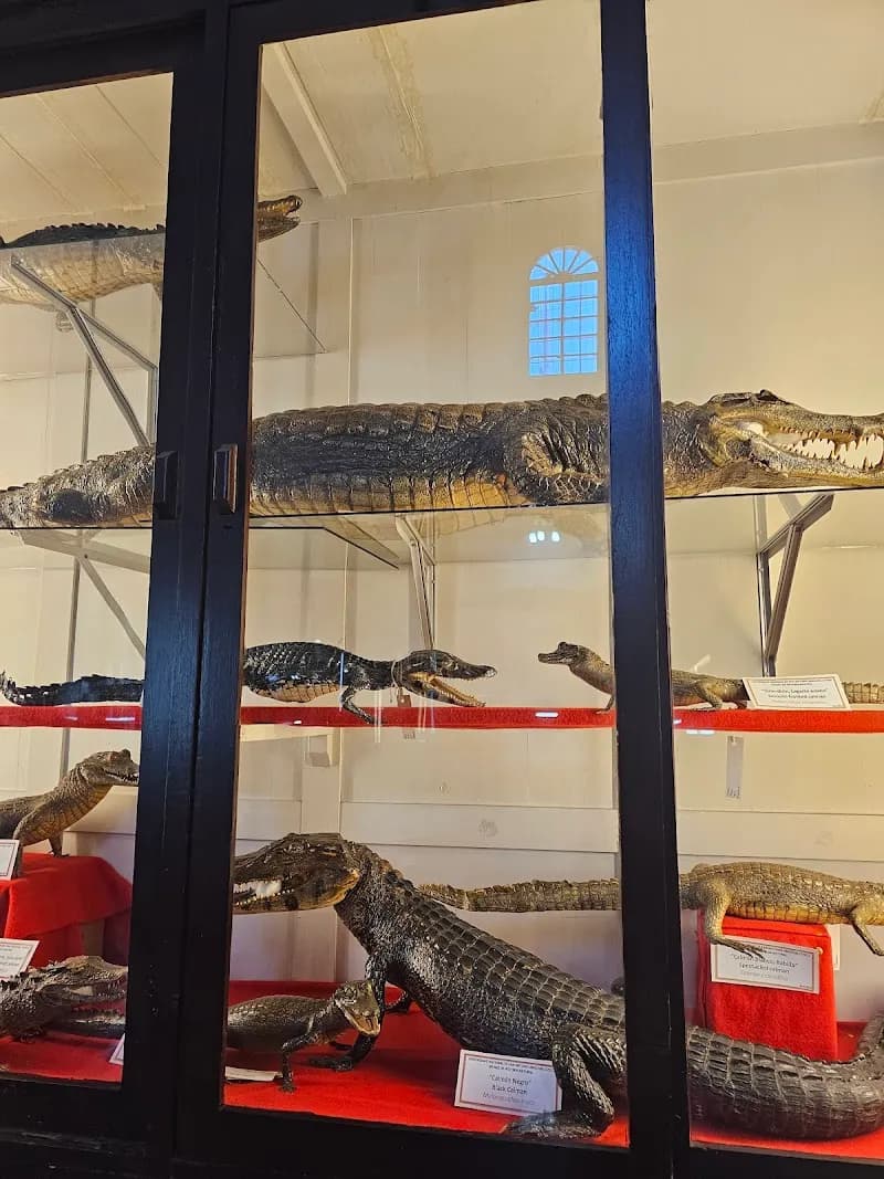 Natural history museum museum in Cusco, CUS