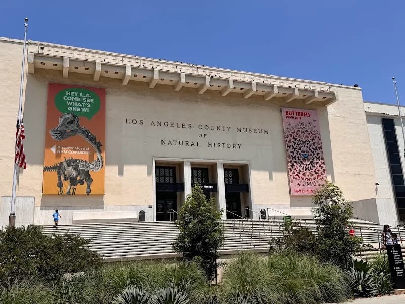 View of Natural History Museum of Los Angeles County in Los Angeles, CA