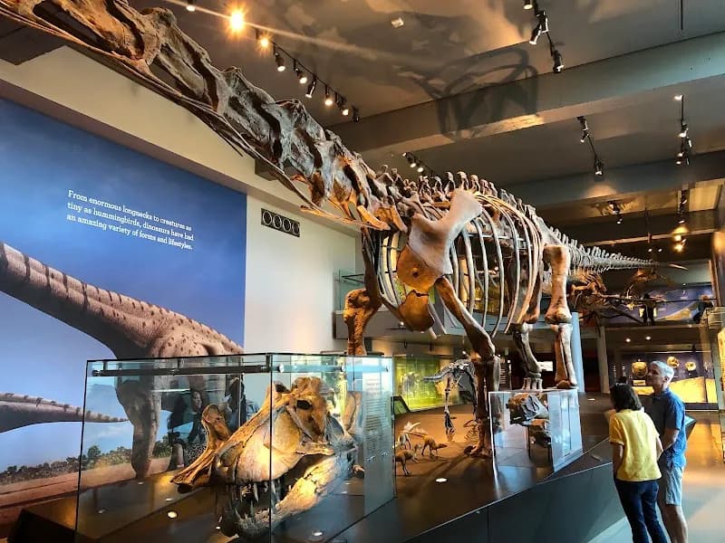 View of Natural History Museum of Los Angeles County in Los Angeles, CA