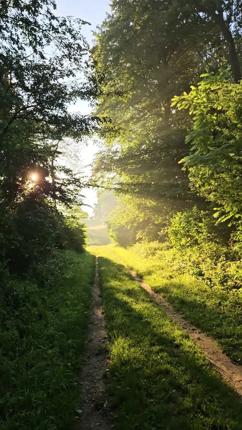 View of Naturschutzgebiet Donauauen in Stockerau, VIE