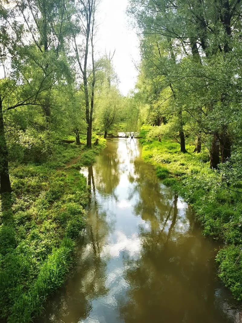 View of Naturschutzgebiet Donauauen in Stockerau, VIE