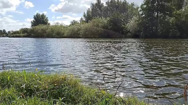 View of Natuurgebied Uithoorn in Uithoorn, NH
