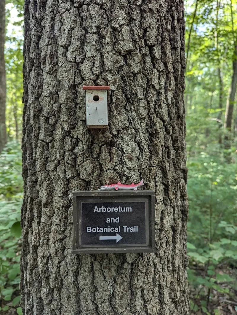 View of Needham Town Forest in Needham, MA