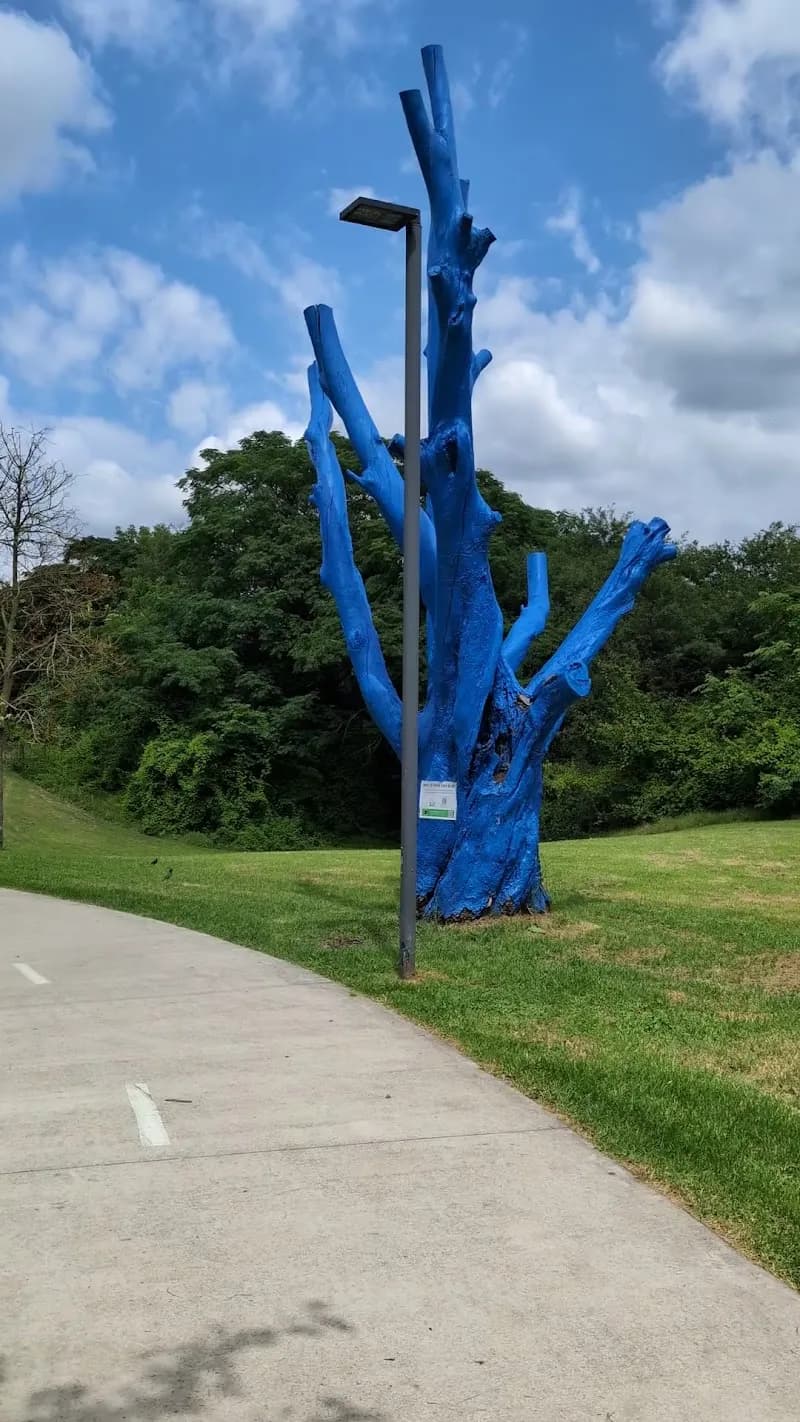 View of Nepean River Walk in Penrith, NSW