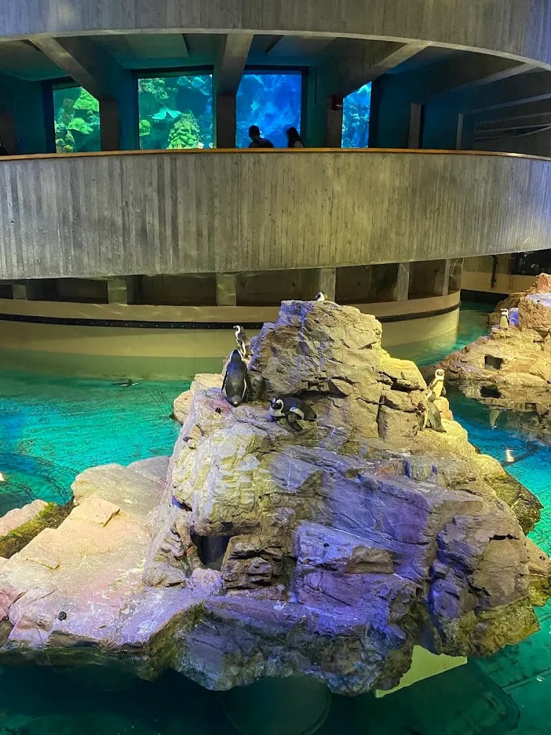 View of New England Aquarium in Boston, MA