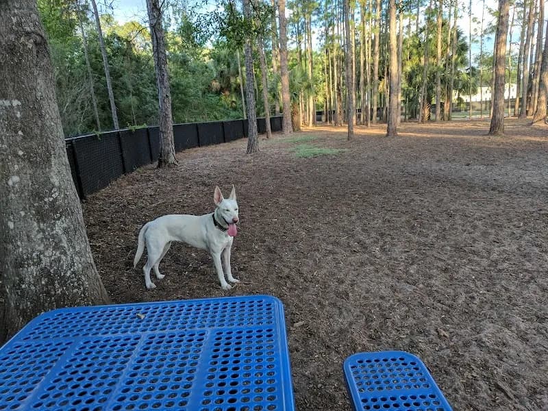 New Tampa Recreational Center tourist attraction in New Tampa, FL