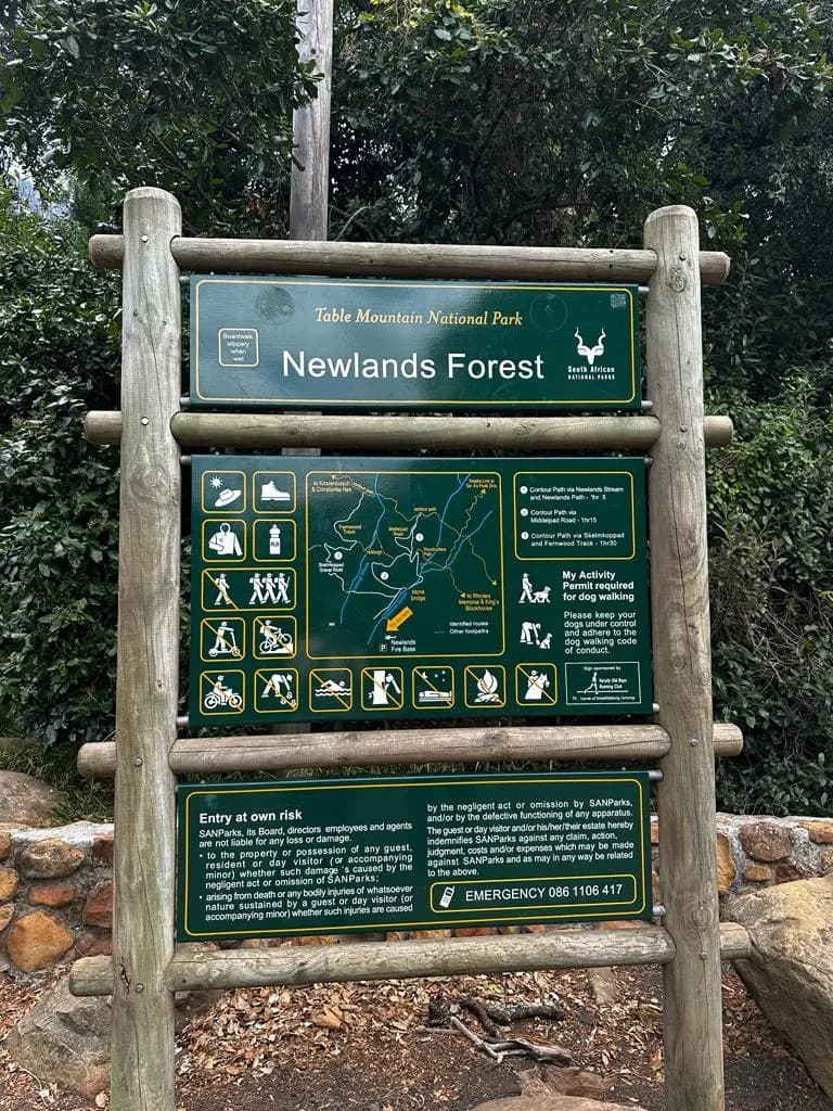 View of Newlands Forest in Newlands, WC