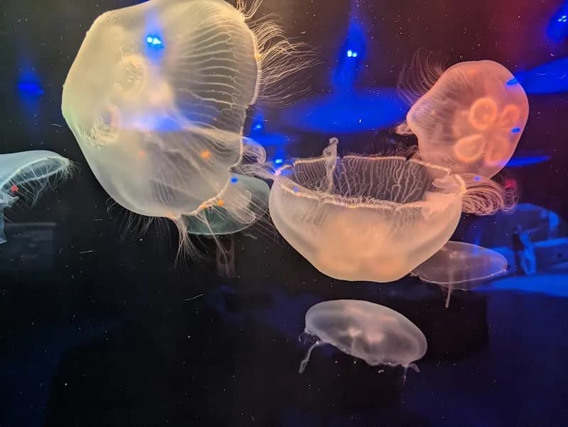 View of Newport Aquarium in Newport, KY