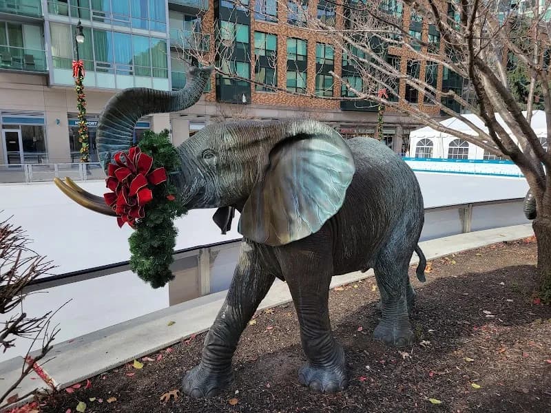 View of Newport Skates in Jersey City, NJ