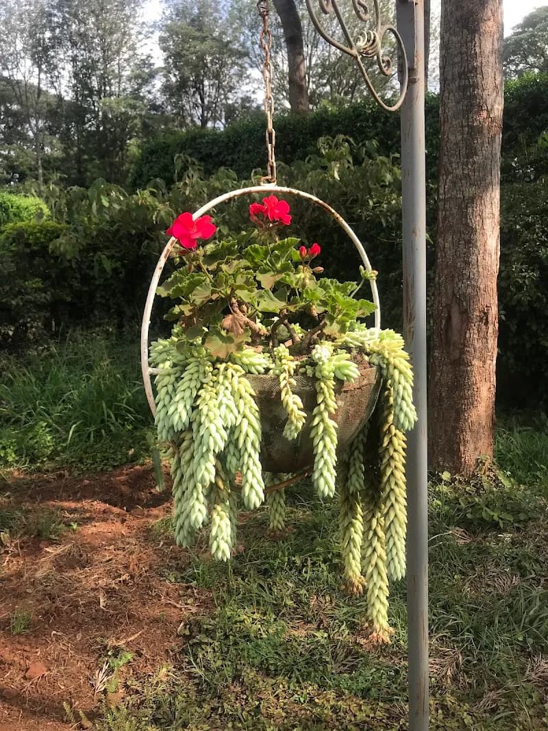 View of Ngong Valley Estates Playground in Ngong, Nairobi