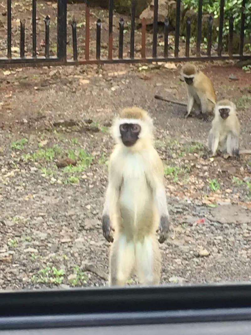 View of Ngong Valley Estates Playground in Ngong, Nairobi