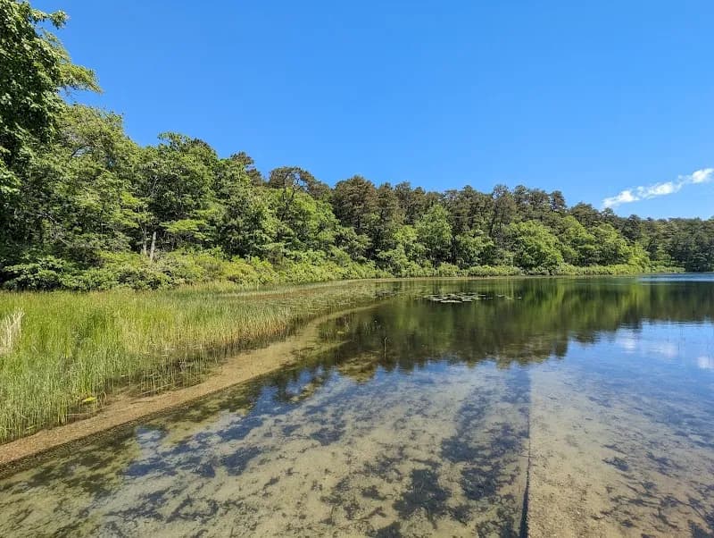 View of Nickerson State Park in Cape Cod, MA