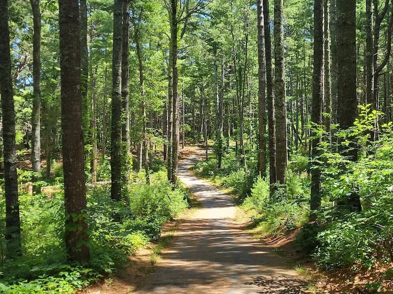 View of Nickerson State Park in Cape Cod, MA