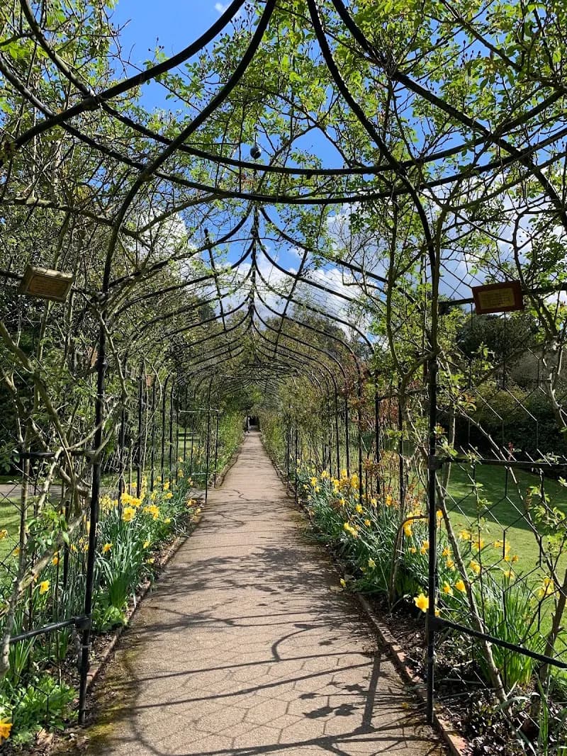 View of Nonsuch Park in Epsom, London
