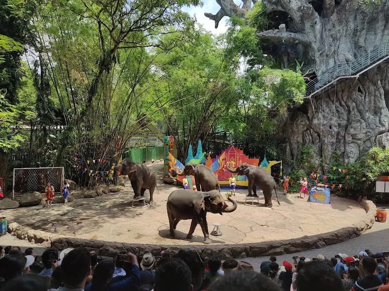 Nonthaburi Zoo (Khlong Luang) zoo in Nonthaburi, BKK